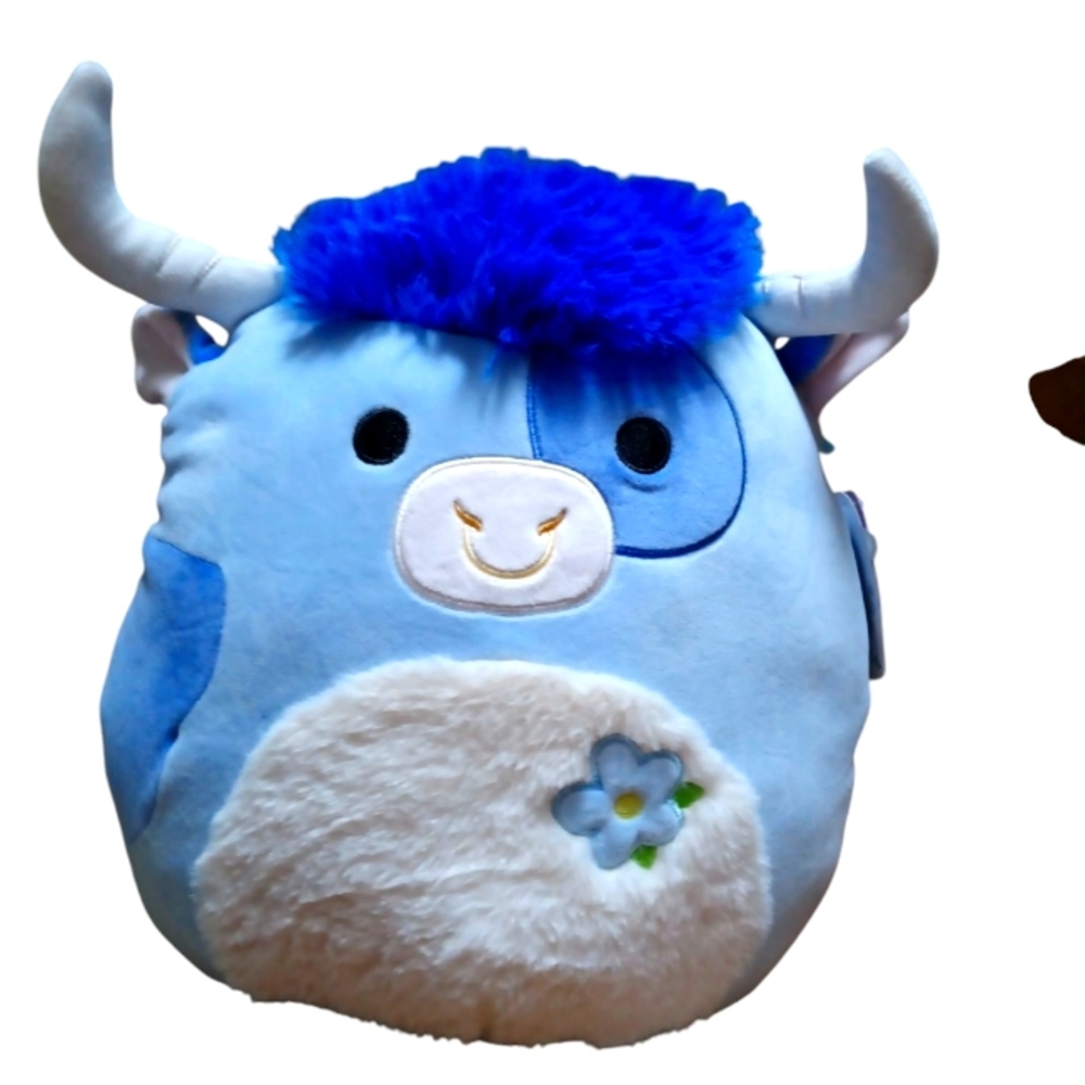 13x12 Bermayah Squishmallows